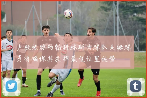 卢教练称约翰科林斯为球队关键球员将确保其发挥最佳位置优势